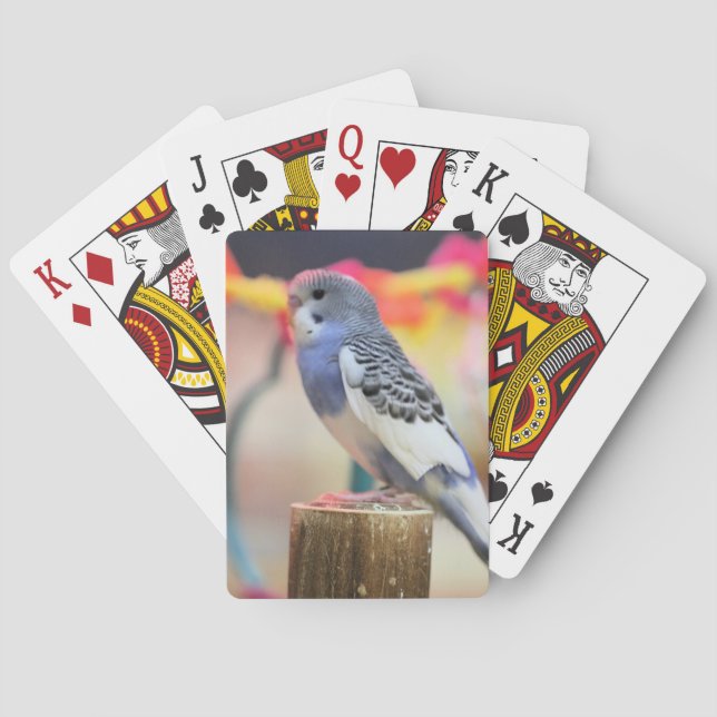 Jeu De Cartes Keet (dos)