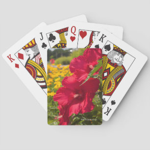 Jeu De Cartes Ketmie rouge