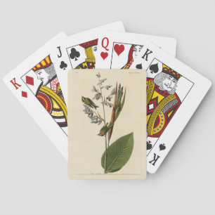 Jeu De Cartes Kinglet couronné d'or, les oiseaux d'Amérique d'Au