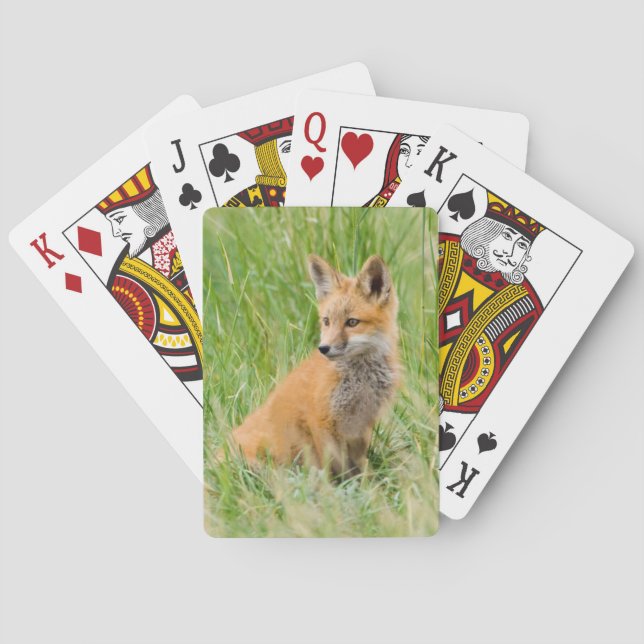 Jeu De Cartes Kit Renard rouge dans l'herbe près de la tanière (dos)