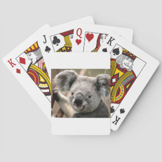 Jeu De Cartes koala un animal unico