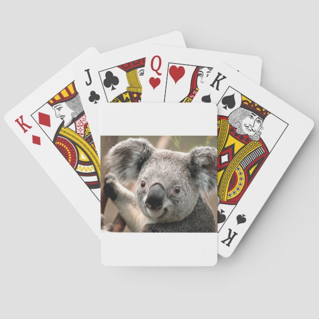 Jeu De Cartes koala un animal unico (dos)