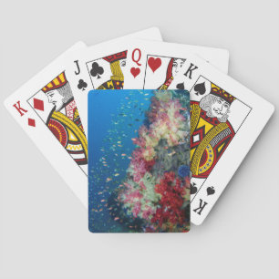 Jeu De Cartes La barrière de corail sous-marine, Indonésie