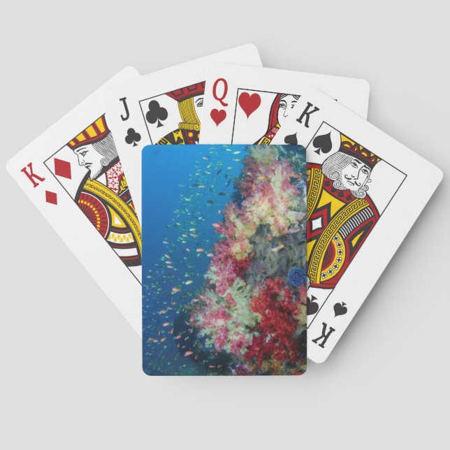 Jeu De Cartes La barrière de corail sous-marine, Indonésie (dos)