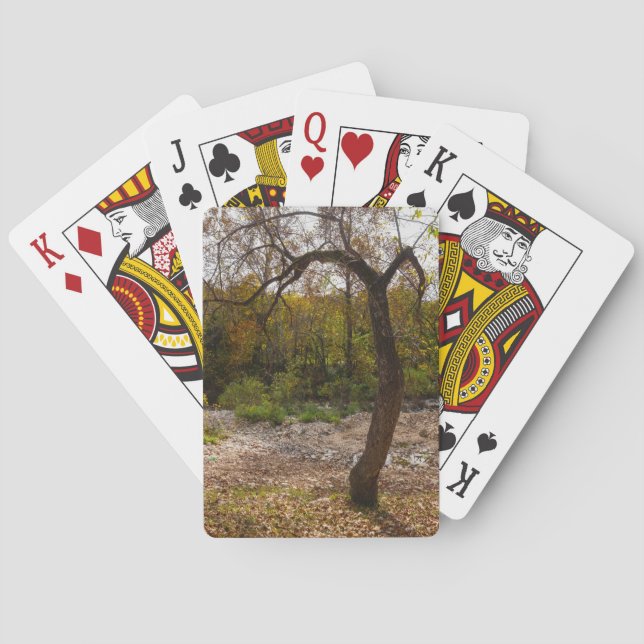 Jeu De Cartes La Nature (dos)