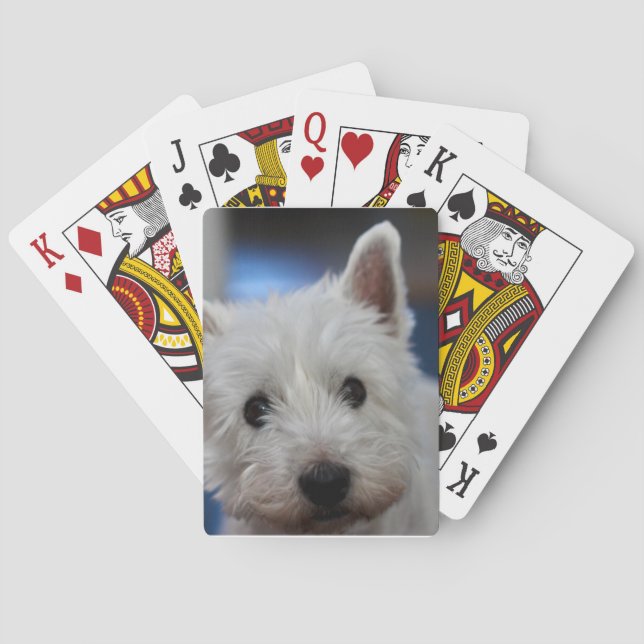 Jeu De Cartes La Pestie blanche de Westie (dos)