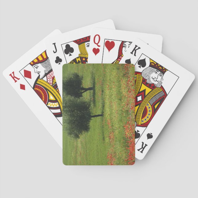 Jeu De Cartes La Toscane (dos)