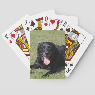 Jeu De Cartes laboratoire noir, pose.png