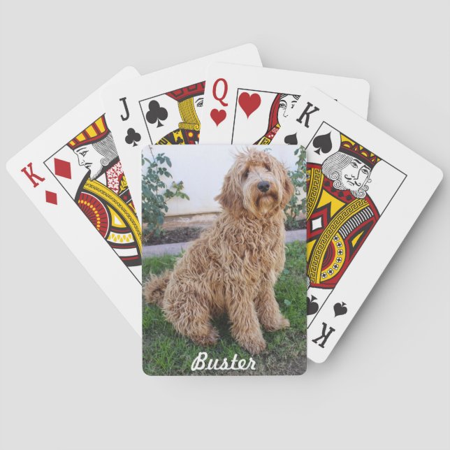 Jeu De Cartes Labradoodle Chien chiot (dos)