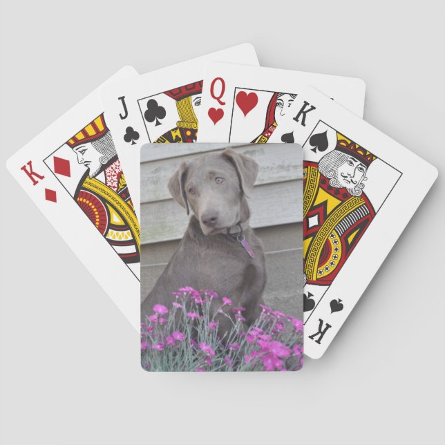 Jeu De Cartes Labradors en argent (dos)