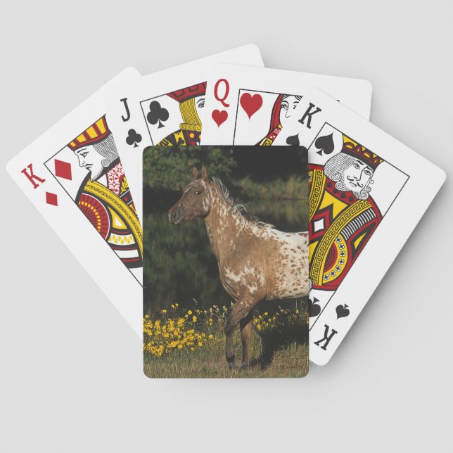Jeu De Cartes Lac Appaloosa (dos)