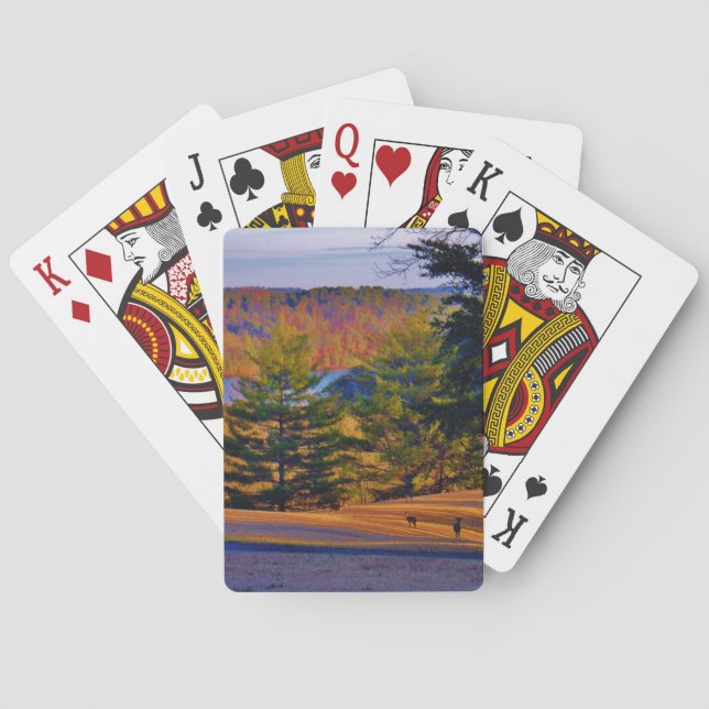 Jeu De Cartes Lac Deer & Mt (dos)