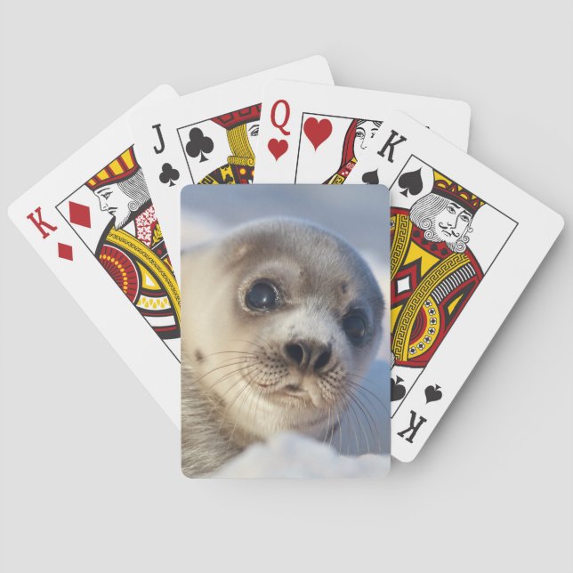 Jeu De Cartes Lac Young (dos)