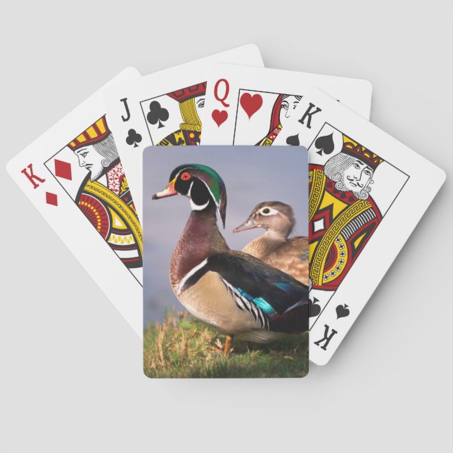 Jeu De Cartes Lakeside, canard en bois (dos)
