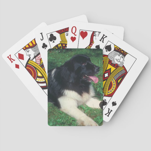 Jeu De Cartes Landseer Newfoundland Dog Jouer des cartes (dos)