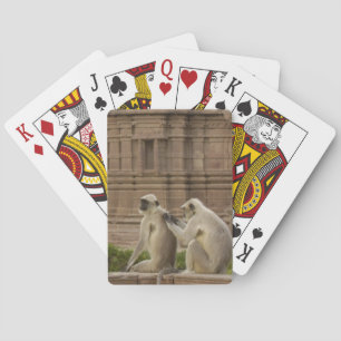 Jeu De Cartes Langurs d'Hanuman ou langur gris, à face noire, co
