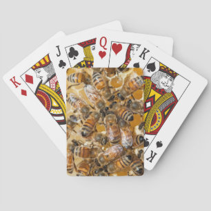 Jeu De Cartes L'apiculture à Arlo's Honey Farm