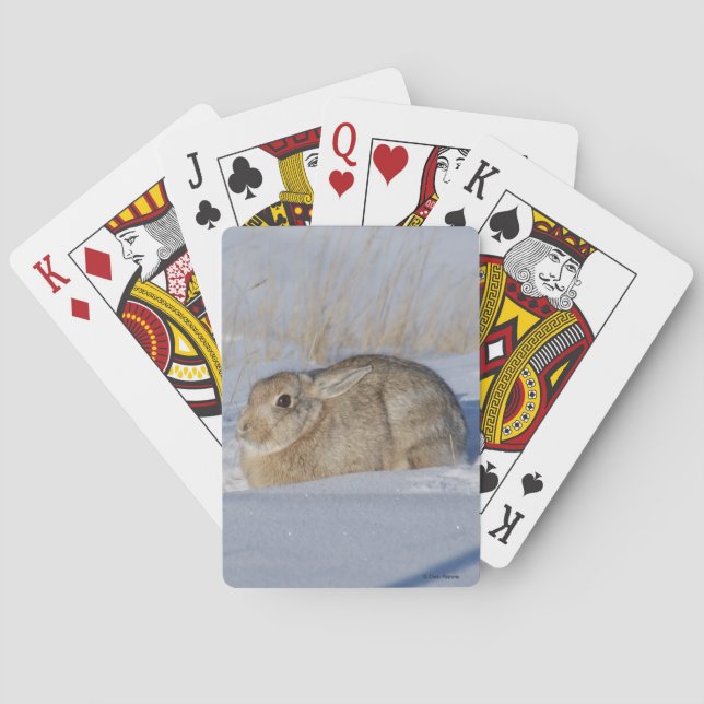 Jeu De Cartes Lapin Cottontail R5 dans la neige (dos)