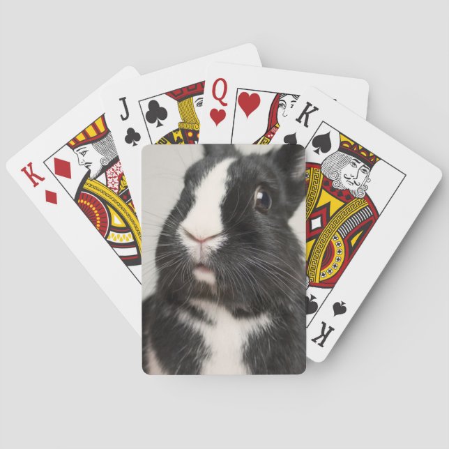 Jeu De Cartes Lapin lapin noir et blanc Startted (dos)