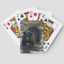Le Bear Deck