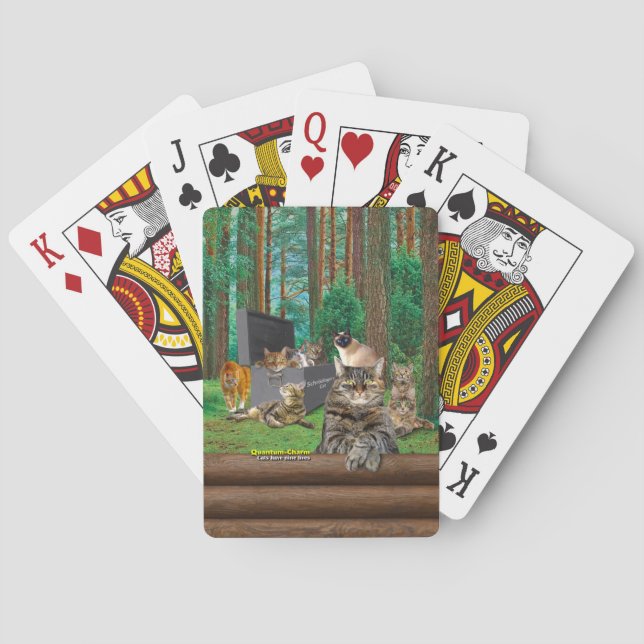 Jeu De Cartes Le chat de Schrodinger (dos)