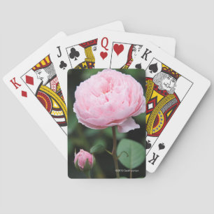 Jeu De Cartes Le château d'Alnwick s'est levé