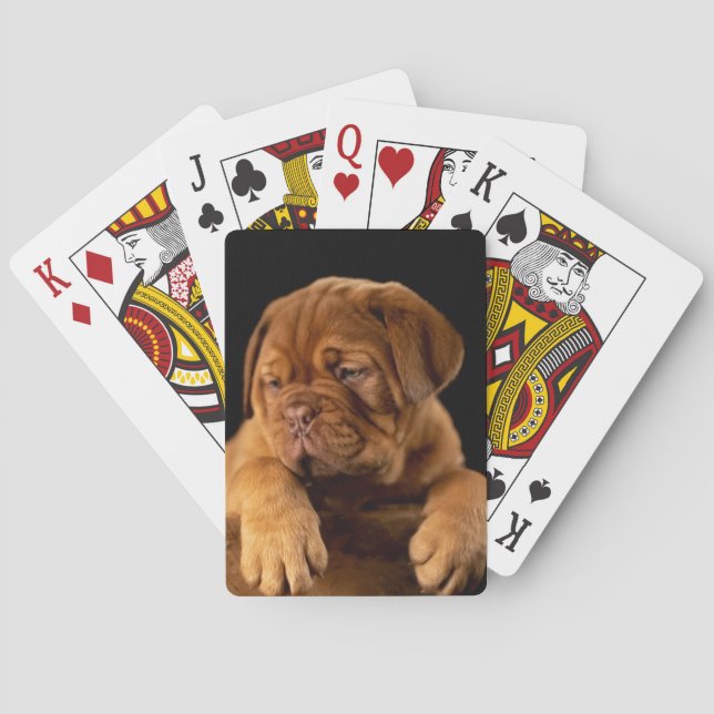 Jeu De Cartes Le Chien de Bordeaux - Le Chiot Mastiff (dos)