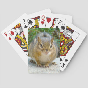 Jeu De Cartes Le Cute Chipmunk A L'Oeil Sur Vous
