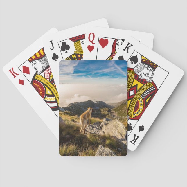 Jeu De Cartes Le Journal (dos)