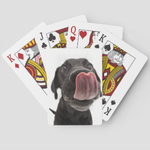 Jeu De Cartes Le Labrador Noir se lâche le nez