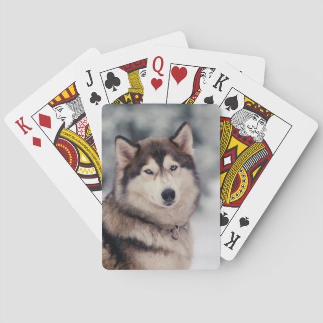 Jeu De Cartes Le magnifique Husky en plein air (dos)