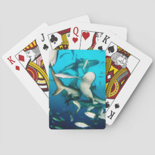 Jeu De Cartes Le requin sous-marin français
