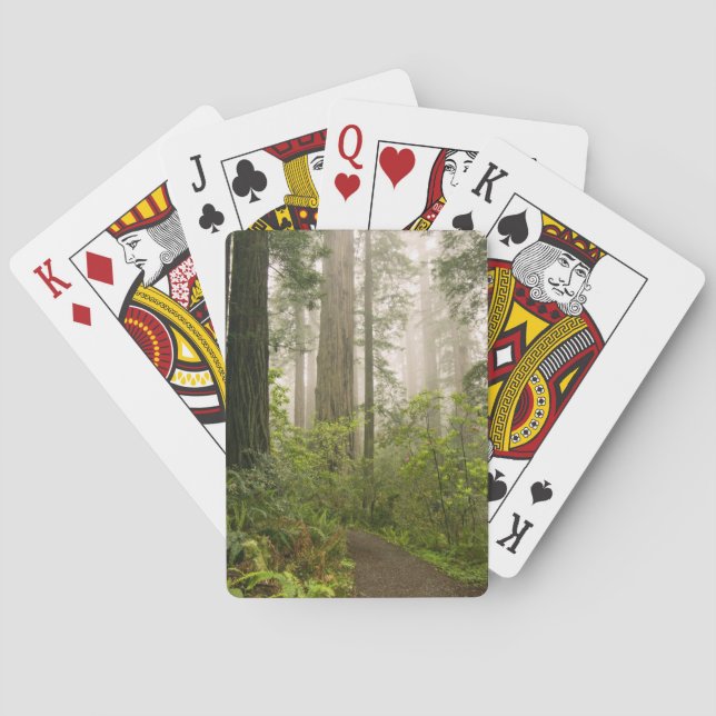Jeu De Cartes Le Rhododendron fleuri parmi les séquoias de la cô (dos)