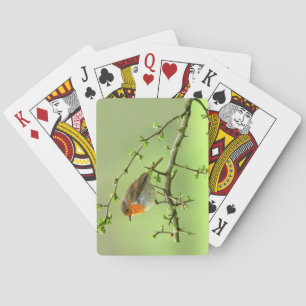 Jeu De Cartes Le Robin