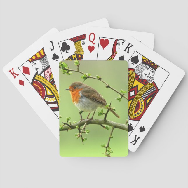 Jeu De Cartes Le Robin (dos)