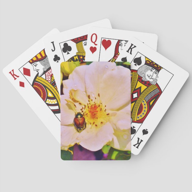 Jeu De Cartes Le scarabée japonais sur la rose blanche (dos)