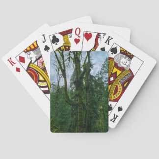 Jeu De Cartes Le vert dans les arbres Jouer des cartes