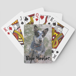 Jeu De Cartes Lecteur de carte Blue Heiler