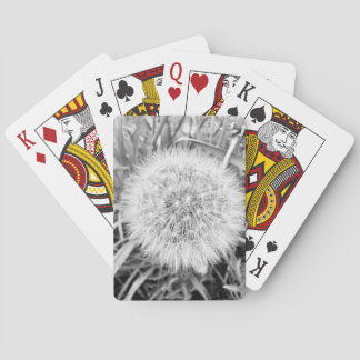 Jeu De Cartes Lecture de cartes