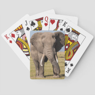 Jeu De Cartes L'éléphant dans une posture agressive