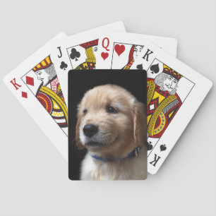 Jeu De Cartes Les bébés animaux les plus mignons chiot Golden