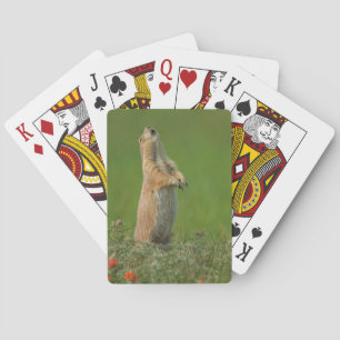 Jeu De Cartes Les Etats-Unis, le Dakota du Sud, parc d'état de