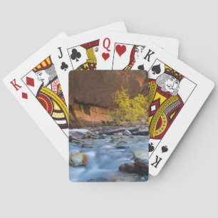 Jeu De Cartes Les Étroits De La Vierge À L'Automne
