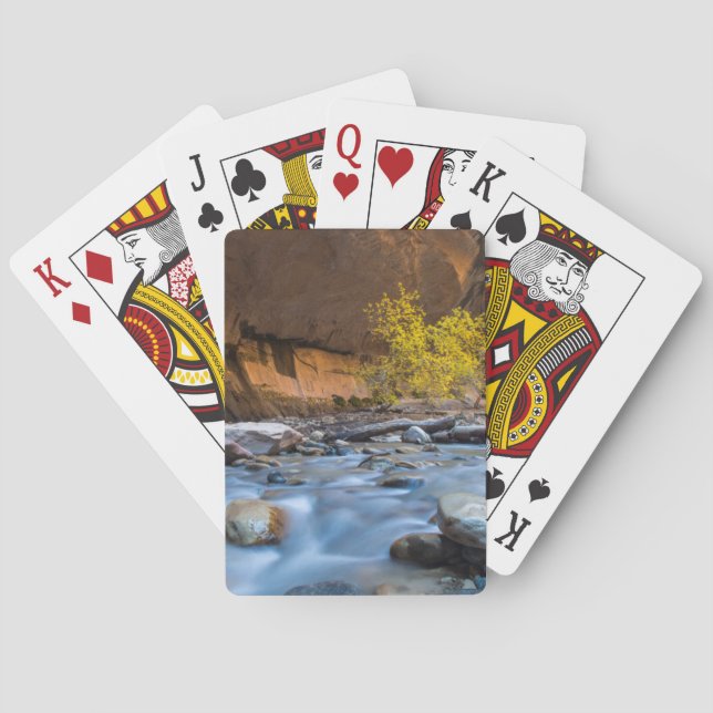 Jeu De Cartes Les Étroits De La Vierge À L'Automne (dos)