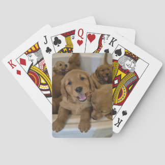 Jeu De Cartes Les golfeurs dans une baignoire