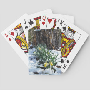 Jeu De Cartes Les jonquilles jaunes dans la neige