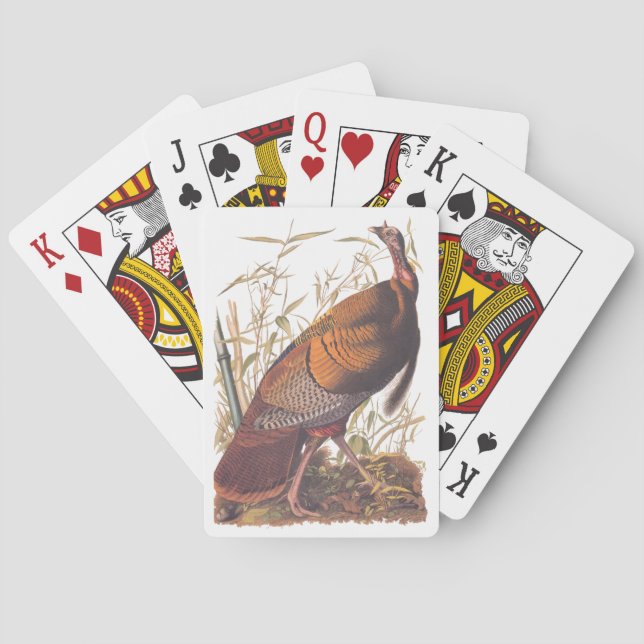 Jeu De Cartes Les oiseaux d'Amérique d'Audubon La Turquie sauvag (dos)