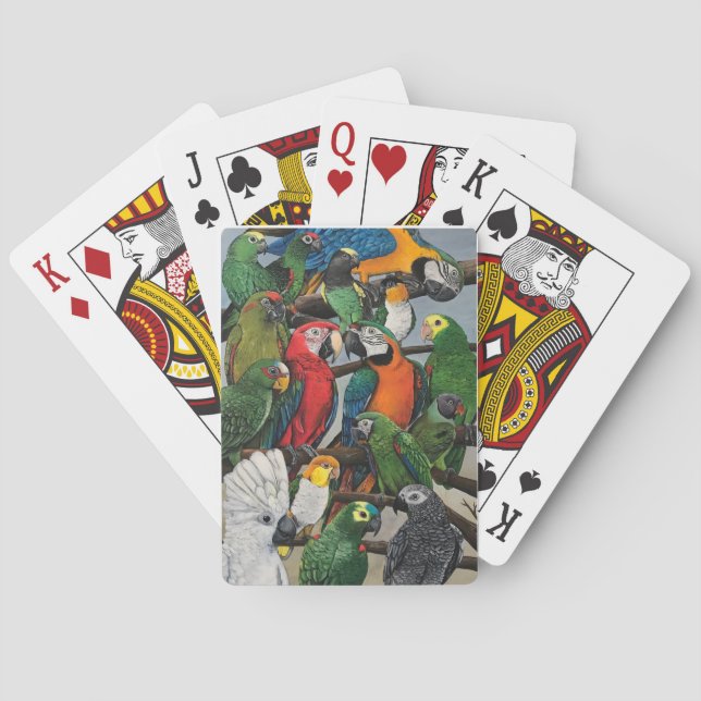 Jeu De Cartes Les perroquets de Pete - Exotiques (dos)