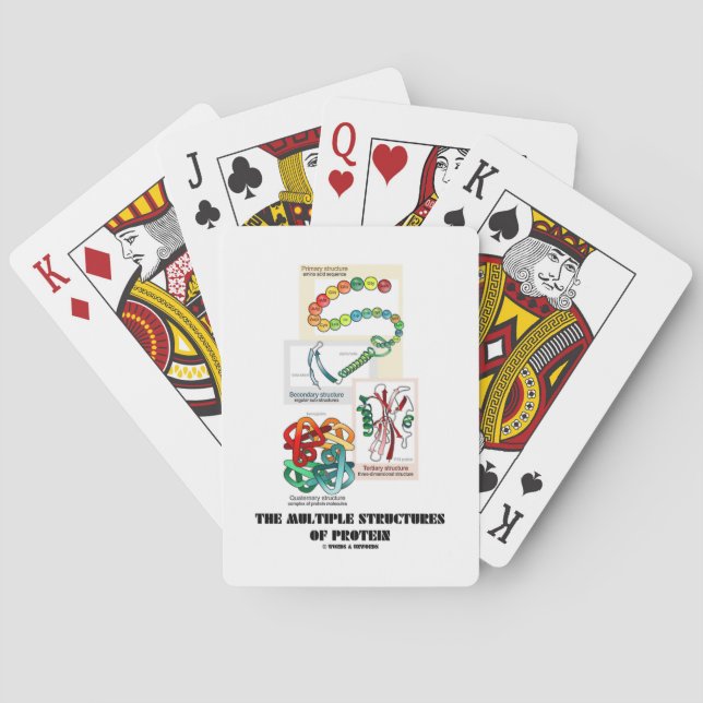 Jeu De Cartes Les Structures Multiples De Protéines (Biologie) (dos)