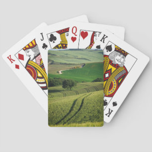 Jeu De Cartes Lignes sinueuses dans la plate-forme verte de